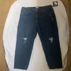 Ava & Viv Dark wash jeans. 18W, brand new.